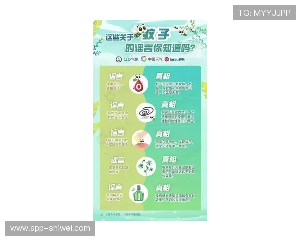 揭秘海星体育在线地址的安全性与可靠性分析