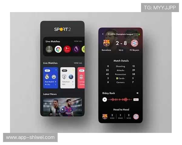 爱体育登录官方地址与用户体验：如何提升登录效率与安全性