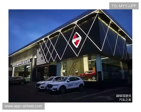 米兰体育正规网址的用户体验分享，听听他们在使用过程中遇到的挑战与解决方案！