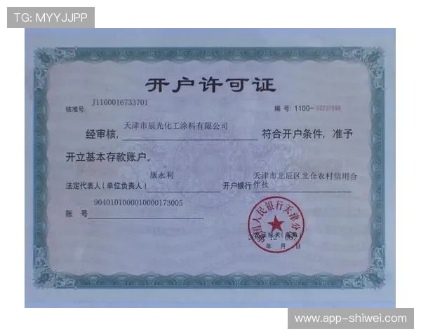 乐鱼电子有限公司官网用户注册与登录操作指南详解