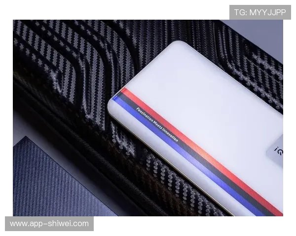 蓝鲸体育棋牌平台安全保障措施详解,保障玩家游戏体验与资金安全 蓝鲸体育棋牌平台安全保障措施详解,保障玩家游戏体验与资金安全